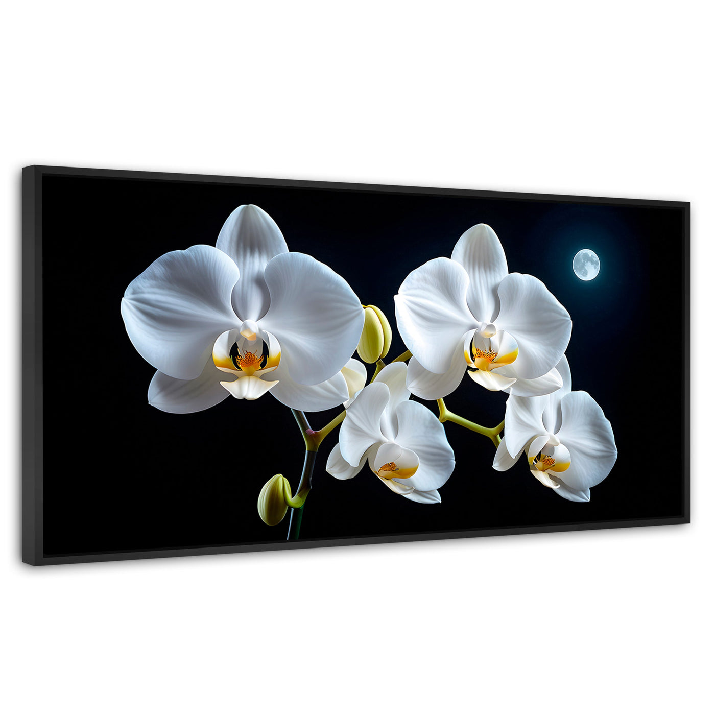 Cuadros Decorativos Canvas Revolution | Orquideas De Noche | Panoramico | Portada | Marco Negro