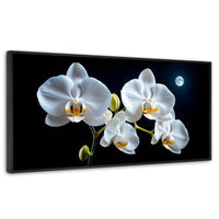 Cuadros Decorativos Canvas Revolution | Orquideas De Noche | Panoramico | Portada | Marco Negro