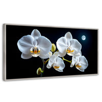Cuadros Decorativos Canvas Revolution | Orquideas De Noche | Panoramico | Portada | Marco Plateado