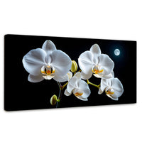 Cuadros Decorativos Canvas Revolution | Orquideas De Noche | Panoramico | Portada | Marco SinMarco