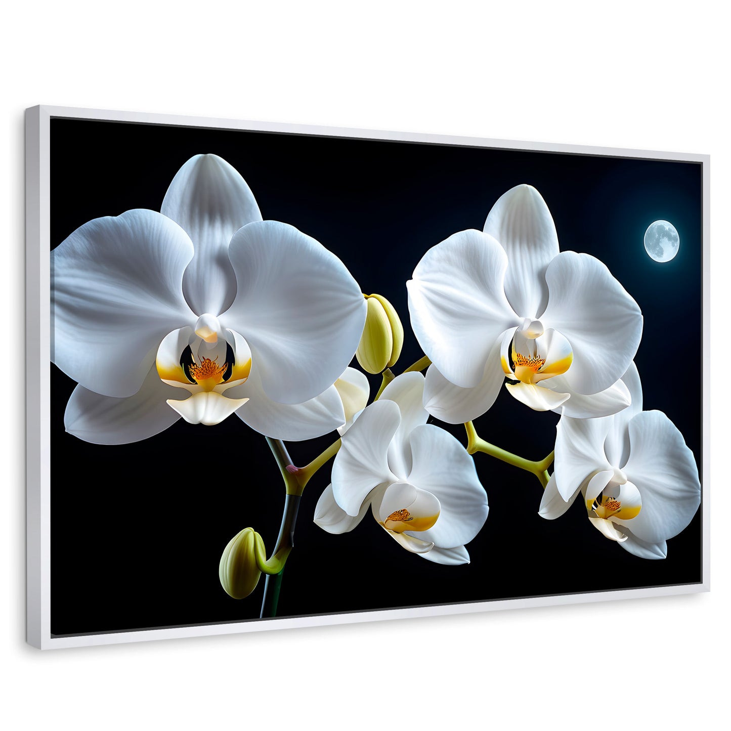 Cuadros Decorativos Canvas Revolution | Orquideas De Noche | Rectangular | Portada | Marco Blanco