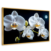 Cuadros Decorativos Canvas Revolution | Orquideas De Noche | Rectangular | Portada | Marco Dorado