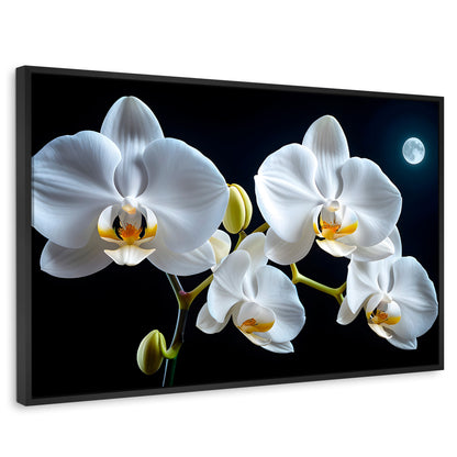 Cuadros Decorativos Canvas Revolution | Orquideas De Noche | Rectangular | Portada | Marco Negro