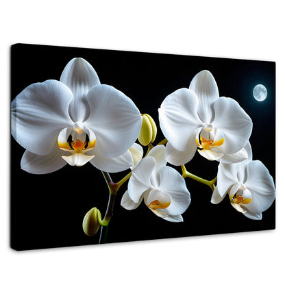 Cuadros Decorativos Canvas Revolution | Orquideas De Noche | Rectangular | Portada | Marco SinMarco