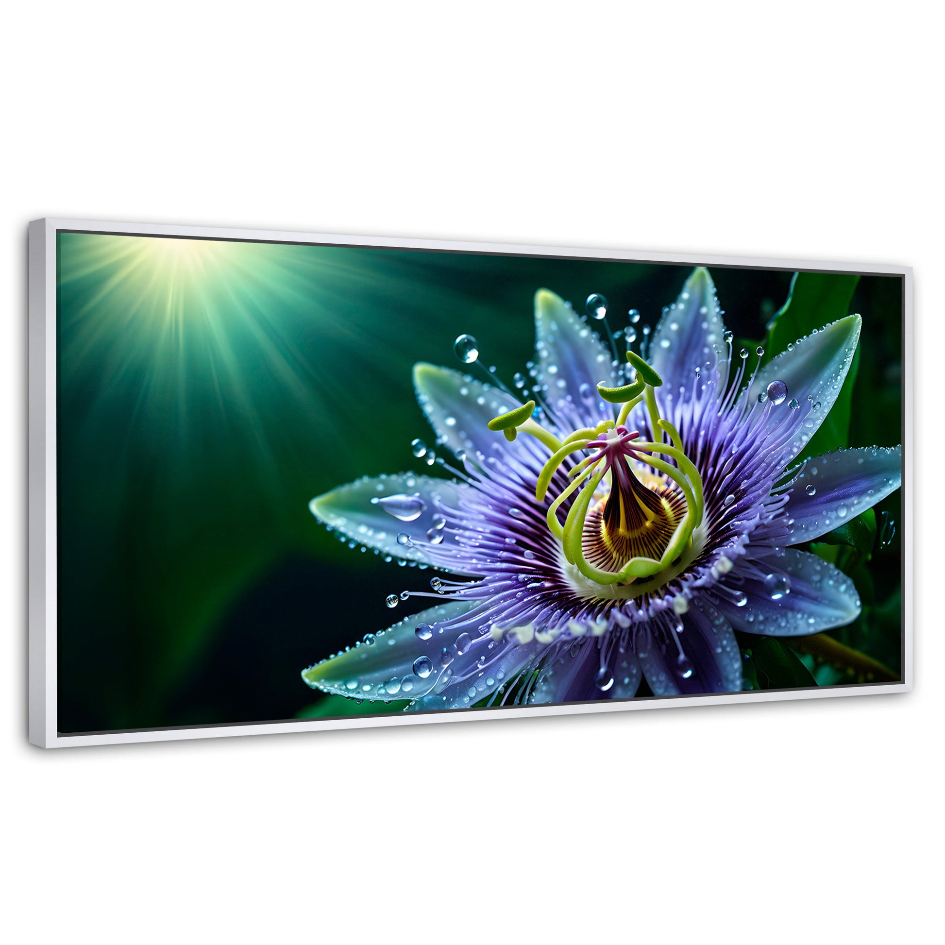 Cuadros Decorativos Canvas Revolution | Pasion Flor Eterna | Panoramico | Portada