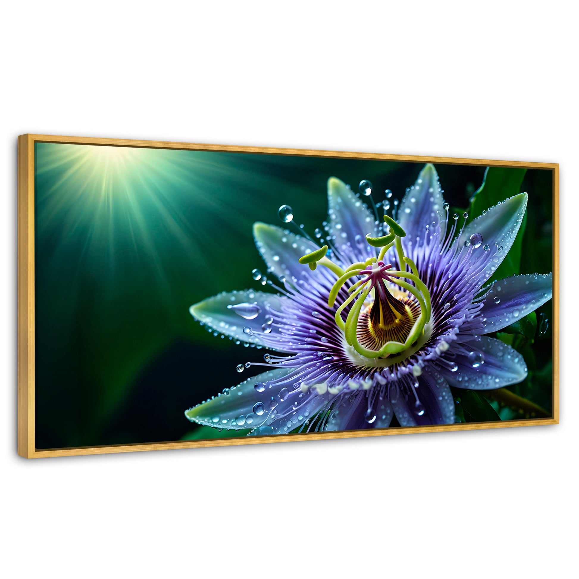 Cuadros Decorativos Canvas Revolution | Pasion Flor Eterna | Panoramico | Portada
