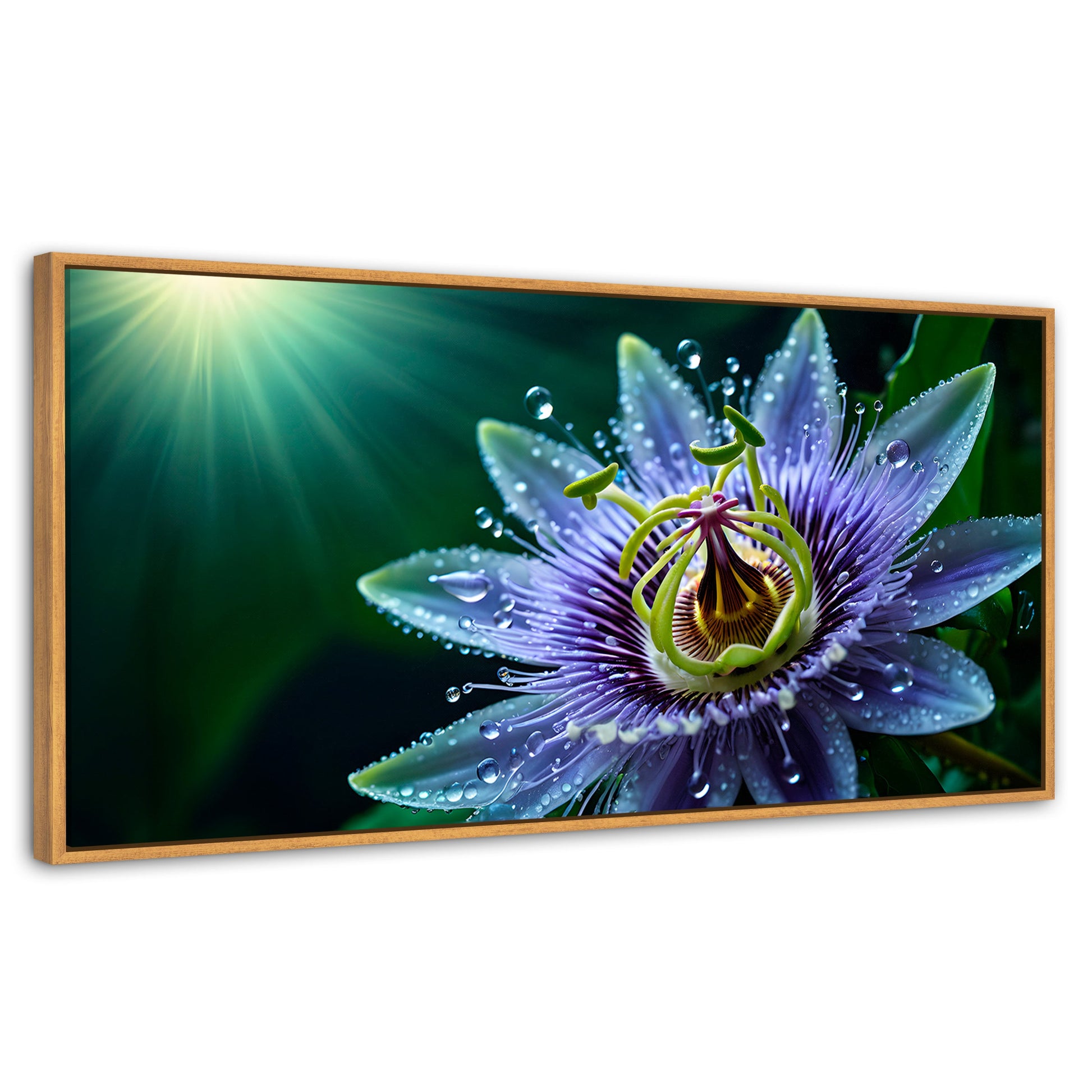 Cuadros Decorativos Canvas Revolution | Pasion Flor Eterna | Panoramico | Portada