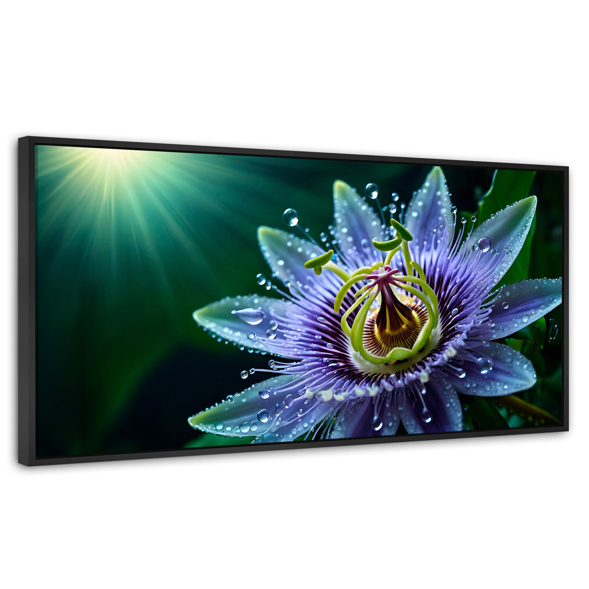 Cuadros Decorativos Canvas Revolution | Pasion Flor Eterna | Panoramico | Portada