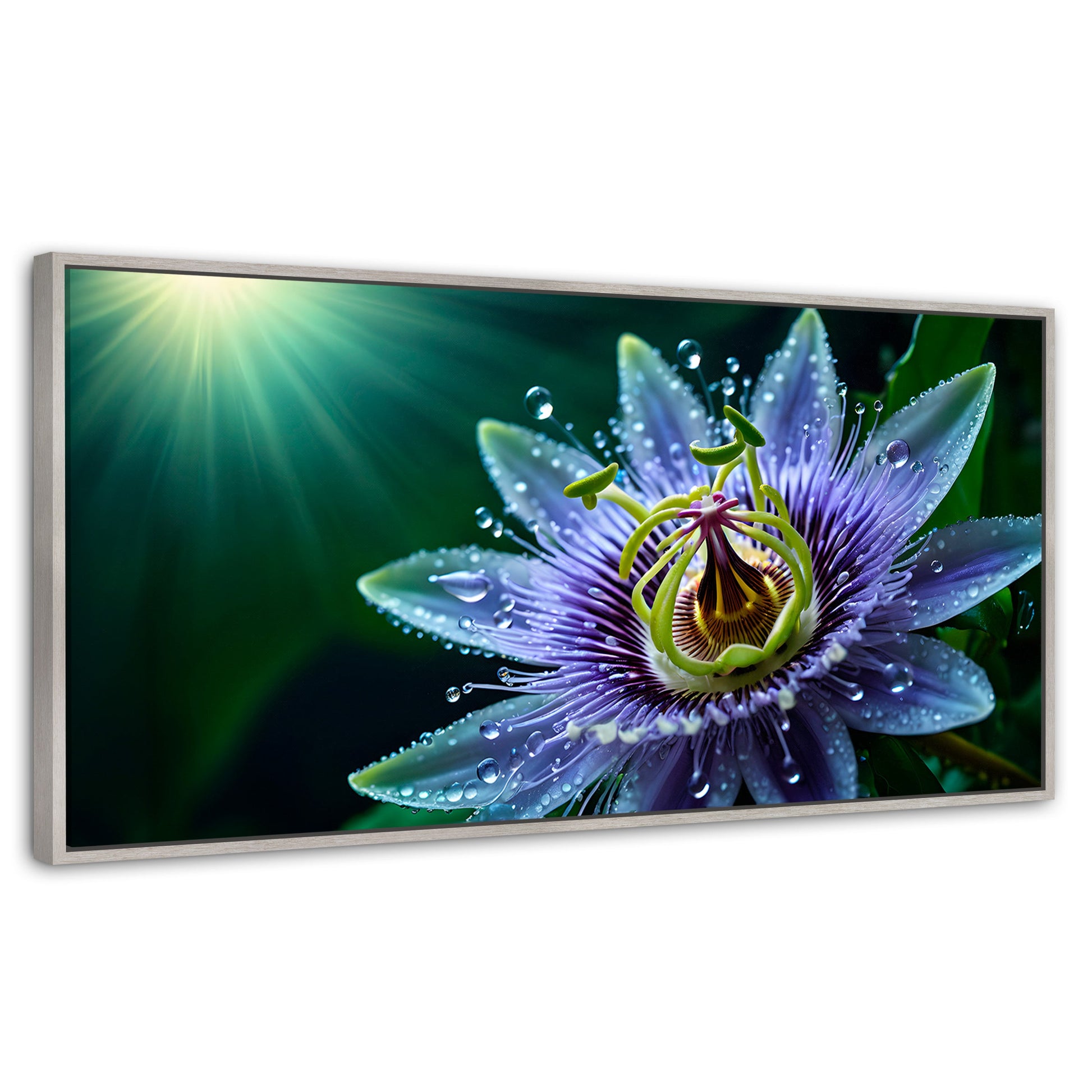 Cuadros Decorativos Canvas Revolution | Pasion Flor Eterna | Panoramico | Portada