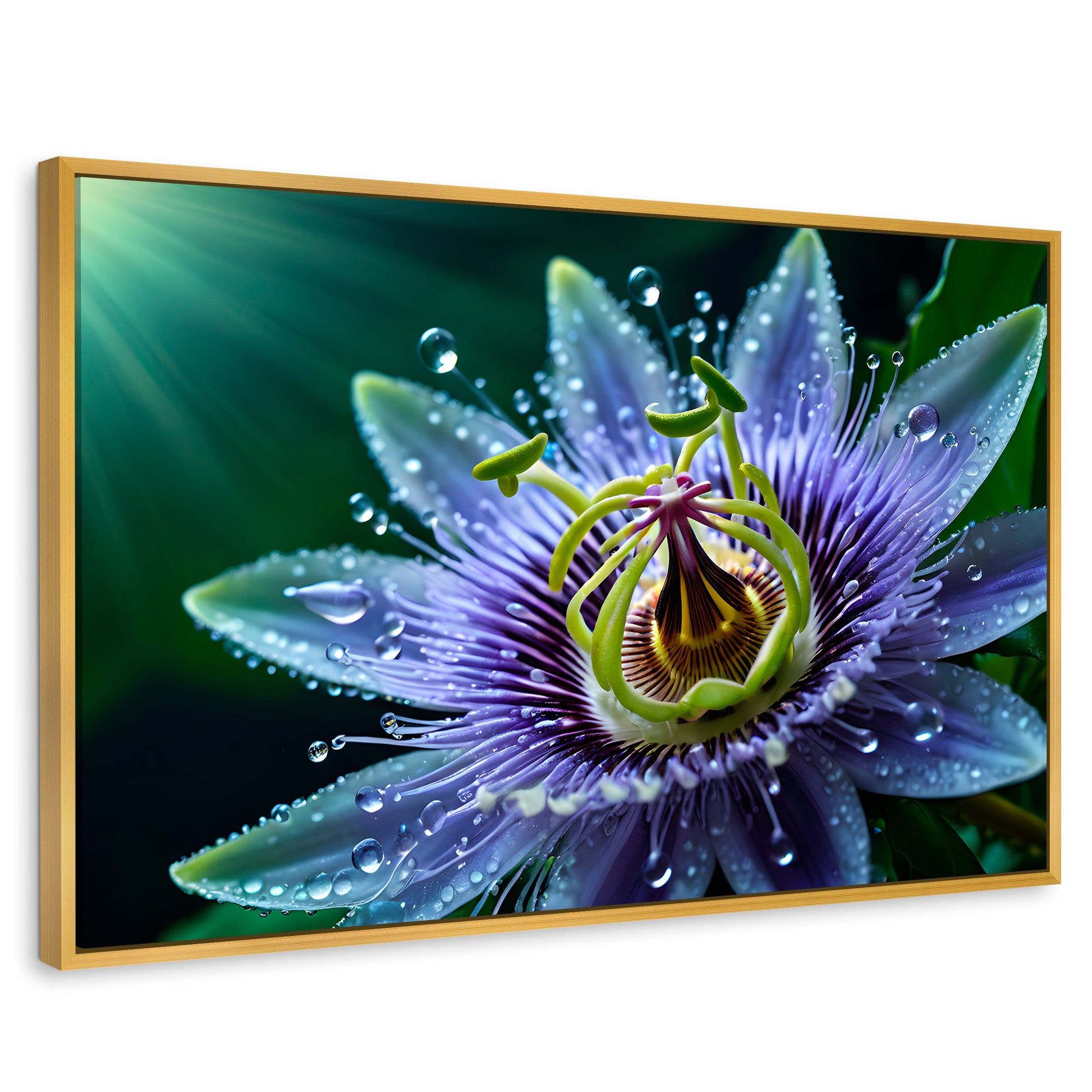Cuadros Decorativos Canvas Revolution | Pasion Flor Eterna | Rectangular | Portada