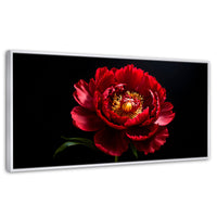 Cuadros Decorativos Canvas Revolution | Peonia De Noche | Panoramico | Portada | Marco Blanco