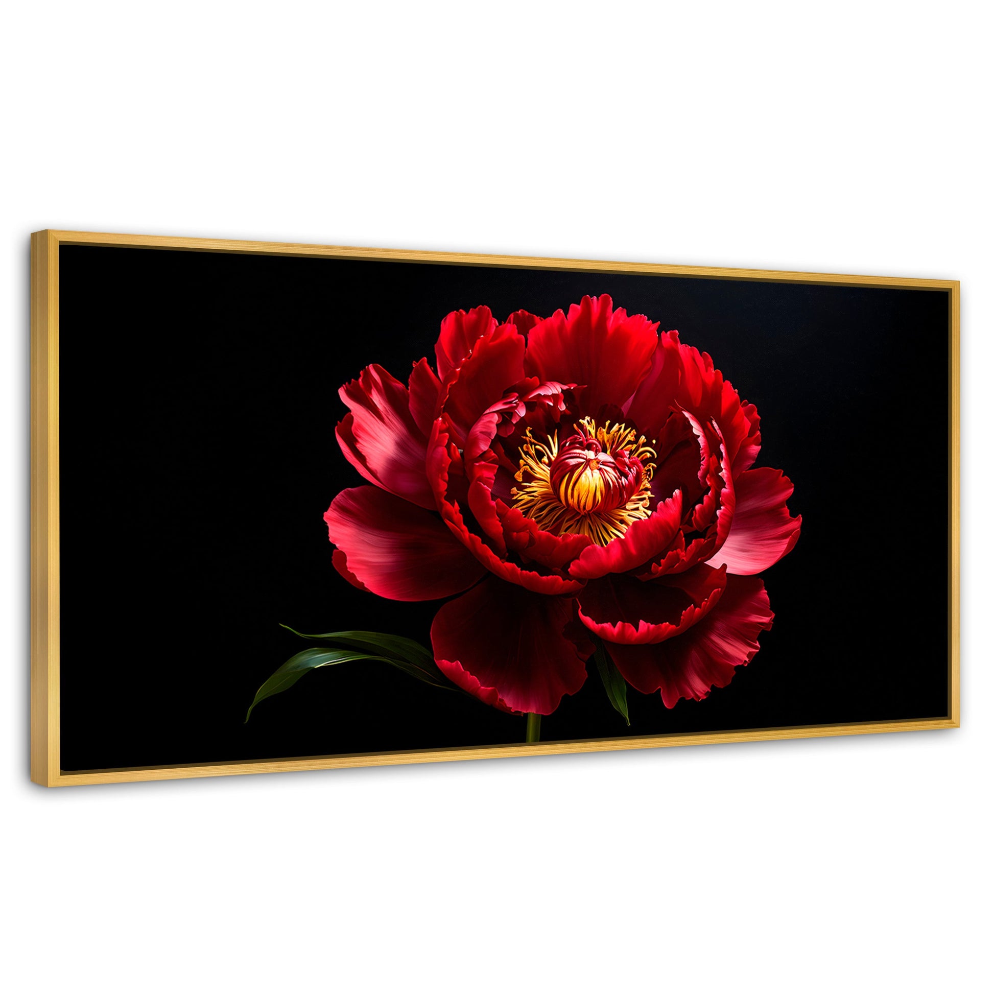 Cuadros Decorativos Canvas Revolution | Peonia De Noche | Panoramico | Portada | Marco Dorado