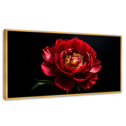 Cuadros Decorativos Canvas Revolution | Peonia De Noche | Panoramico | Portada | Marco Dorado