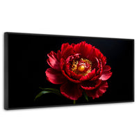 Cuadros Decorativos Canvas Revolution | Peonia De Noche | Panoramico | Portada | Marco Negro