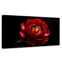 Cuadros Decorativos Canvas Revolution | Peonia De Noche | Panoramico | Portada | Marco SinMarco