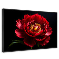 Cuadros Decorativos Canvas Revolution | Peonia De Noche | Rectangular | Portada | Marco Negro