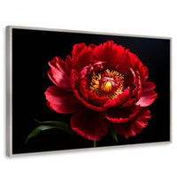 Cuadros Decorativos Canvas Revolution | Peonia De Noche | Rectangular | Portada | Marco Plateado