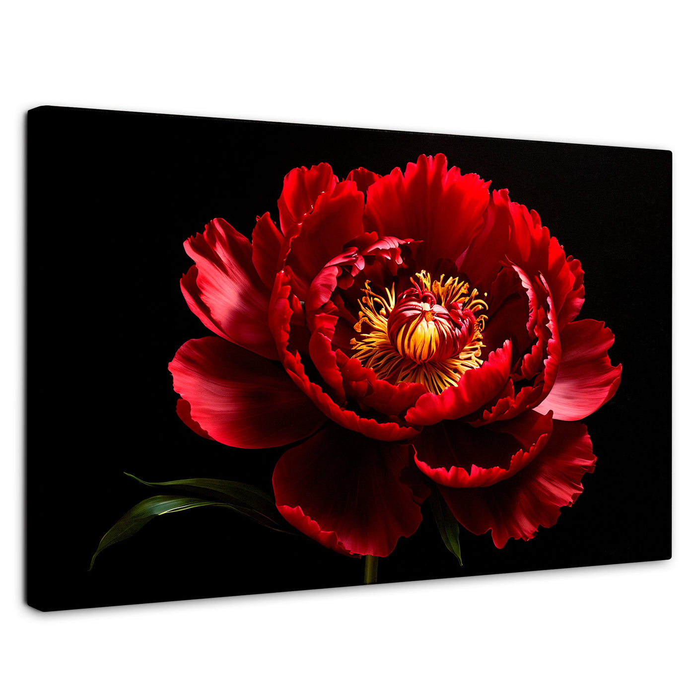 Cuadros Decorativos Canvas Revolution | Peonia De Noche | Rectangular | Portada | Marco SinMarco