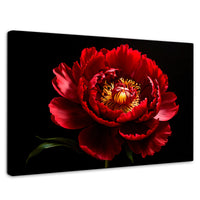 Cuadros Decorativos Canvas Revolution | Peonia De Noche | Rectangular | Portada | Marco SinMarco