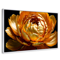 Cuadros Decorativos Canvas Revolution | Peonia Dorada Flor | Rectangular | Portada | Marco Blanco