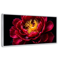 Cuadros Decorativos Canvas Revolution | Peonia Dualidad | Panoramico | Portada | Marco Blanco
