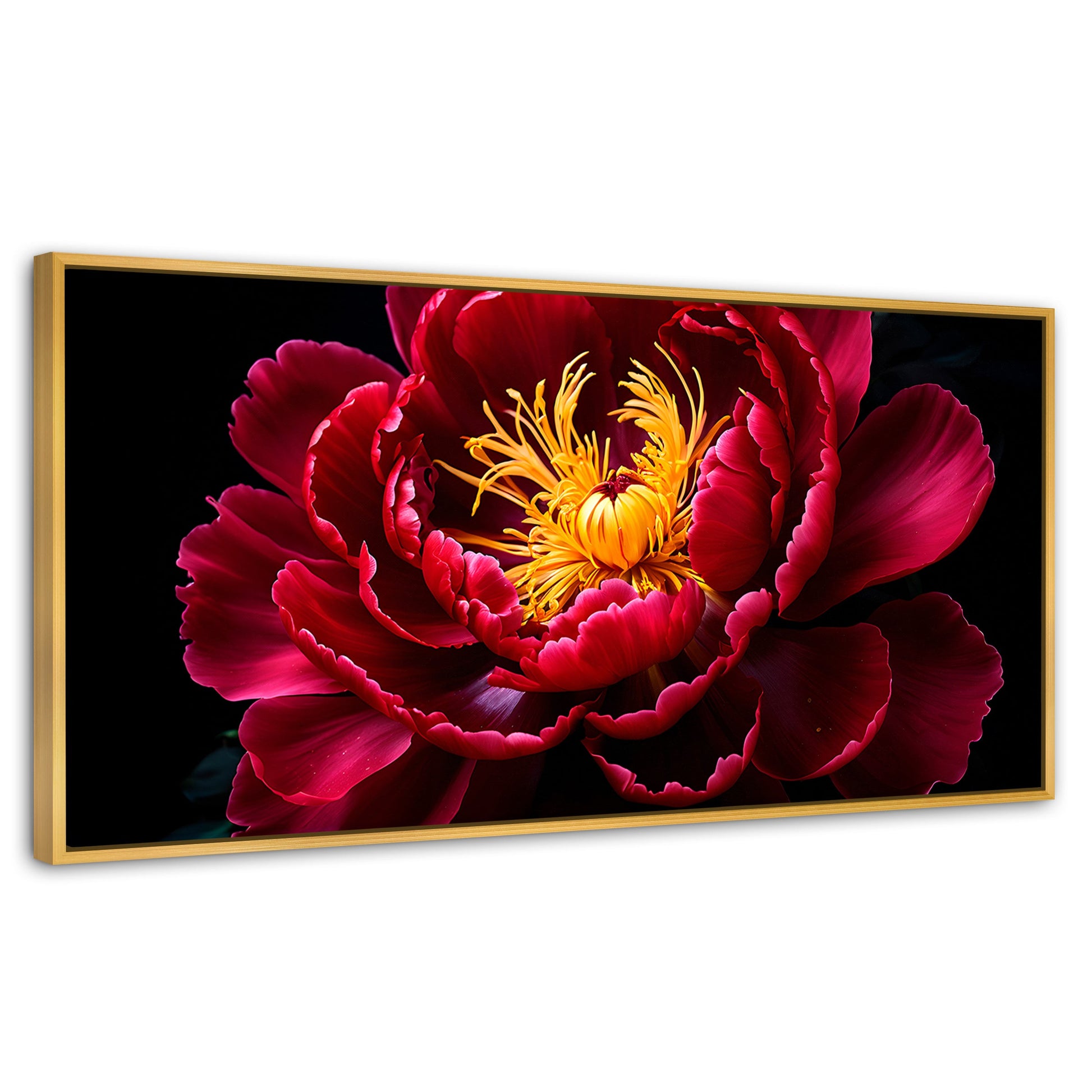 Cuadros Decorativos Canvas Revolution | Peonia Dualidad | Panoramico | Portada | Marco Dorado