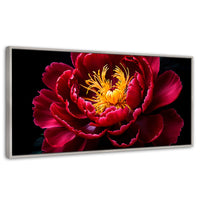 Cuadros Decorativos Canvas Revolution | Peonia Dualidad | Panoramico | Portada | Marco Plateado