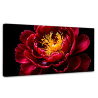 Cuadros Decorativos Canvas Revolution | Peonia Dualidad | Panoramico | Portada | Marco SinMarco