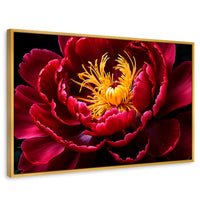 Cuadros Decorativos Canvas Revolution | Peonia Dualidad | Rectangular | Portada | Marco Dorado