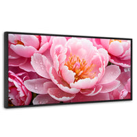 Cuadros Decorativos Canvas Revolution | Peonia Encanto | Panoramico | Portada | Marco Negro