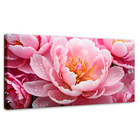 Cuadros Decorativos Canvas Revolution | Peonia Encanto | Panoramico | Portada | Marco SinMarco