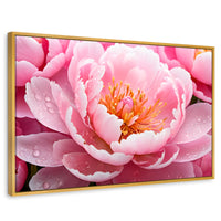 Cuadros Decorativos Canvas Revolution | Peonia Encanto | Rectangular | Portada | Marco Dorado