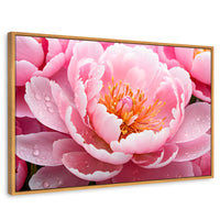 Cuadros Decorativos Canvas Revolution | Peonia Encanto | Rectangular | Portada | Marco Madera