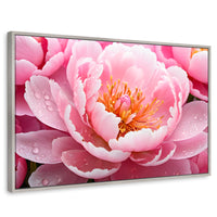 Cuadros Decorativos Canvas Revolution | Peonia Encanto | Rectangular | Portada | Marco Plateado