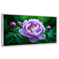 Cuadros Decorativos Canvas Revolution | Peonia Morada Viva | Panoramico | Portada | Marco Blanco
