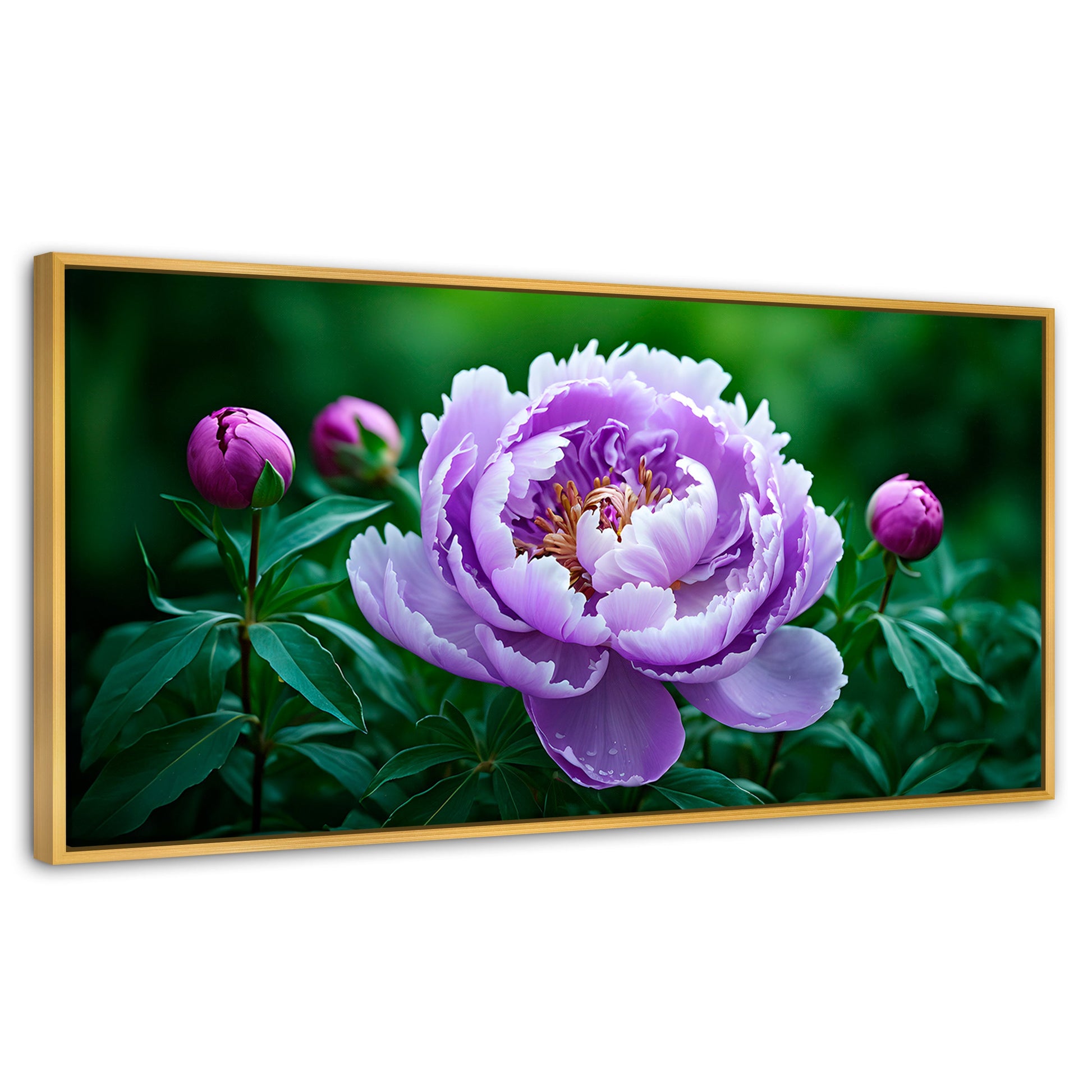 Cuadros Decorativos Canvas Revolution | Peonia Morada Viva | Panoramico | Portada | Marco Dorado