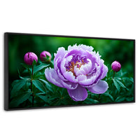 Cuadros Decorativos Canvas Revolution | Peonia Morada Viva | Panoramico | Portada | Marco Negro