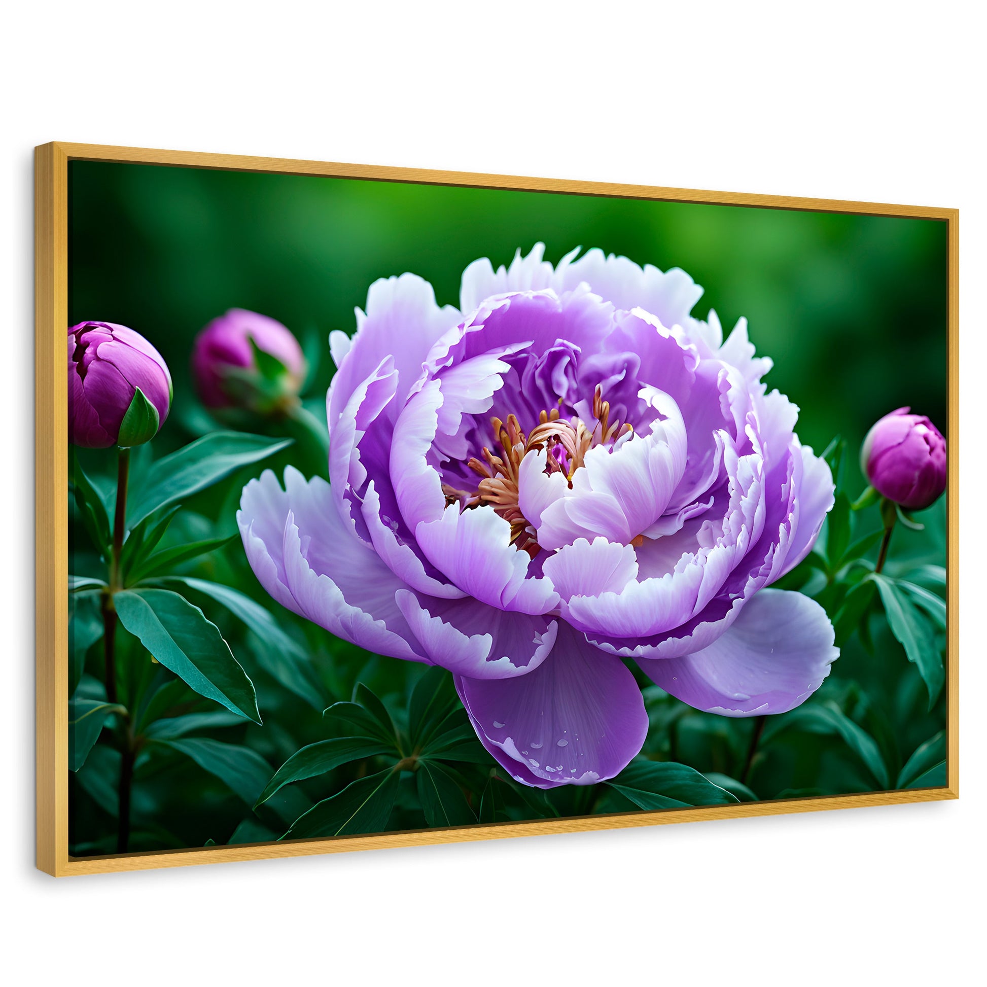 Cuadros Decorativos Canvas Revolution | Peonia Morada Viva | Rectangular | Portada | Marco Dorado