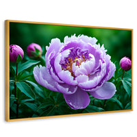 Cuadros Decorativos Canvas Revolution | Peonia Morada Viva | Rectangular | Portada | Marco Dorado