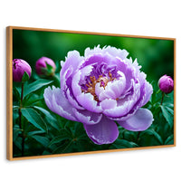 Cuadros Decorativos Canvas Revolution | Peonia Morada Viva | Rectangular | Portada | Marco Madera