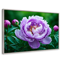 Cuadros Decorativos Canvas Revolution | Peonia Morada Viva | Rectangular | Portada | Marco Plateado