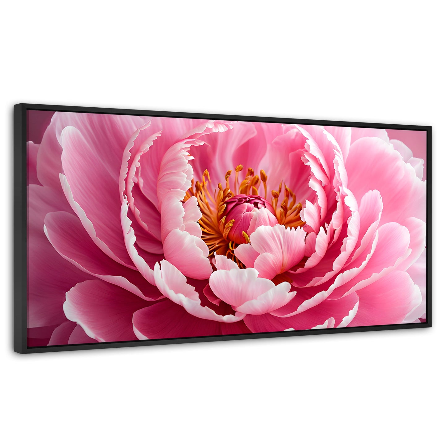 Cuadros Decorativos Canvas Revolution | Peonia Rosa Abierta | Panoramico | Portada | Marco Negro