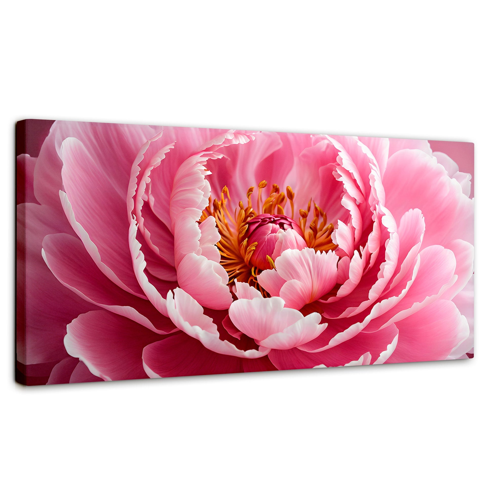 Cuadros Decorativos Canvas Revolution | Peonia Rosa Abierta | Panoramico | Portada | Marco SinMarco