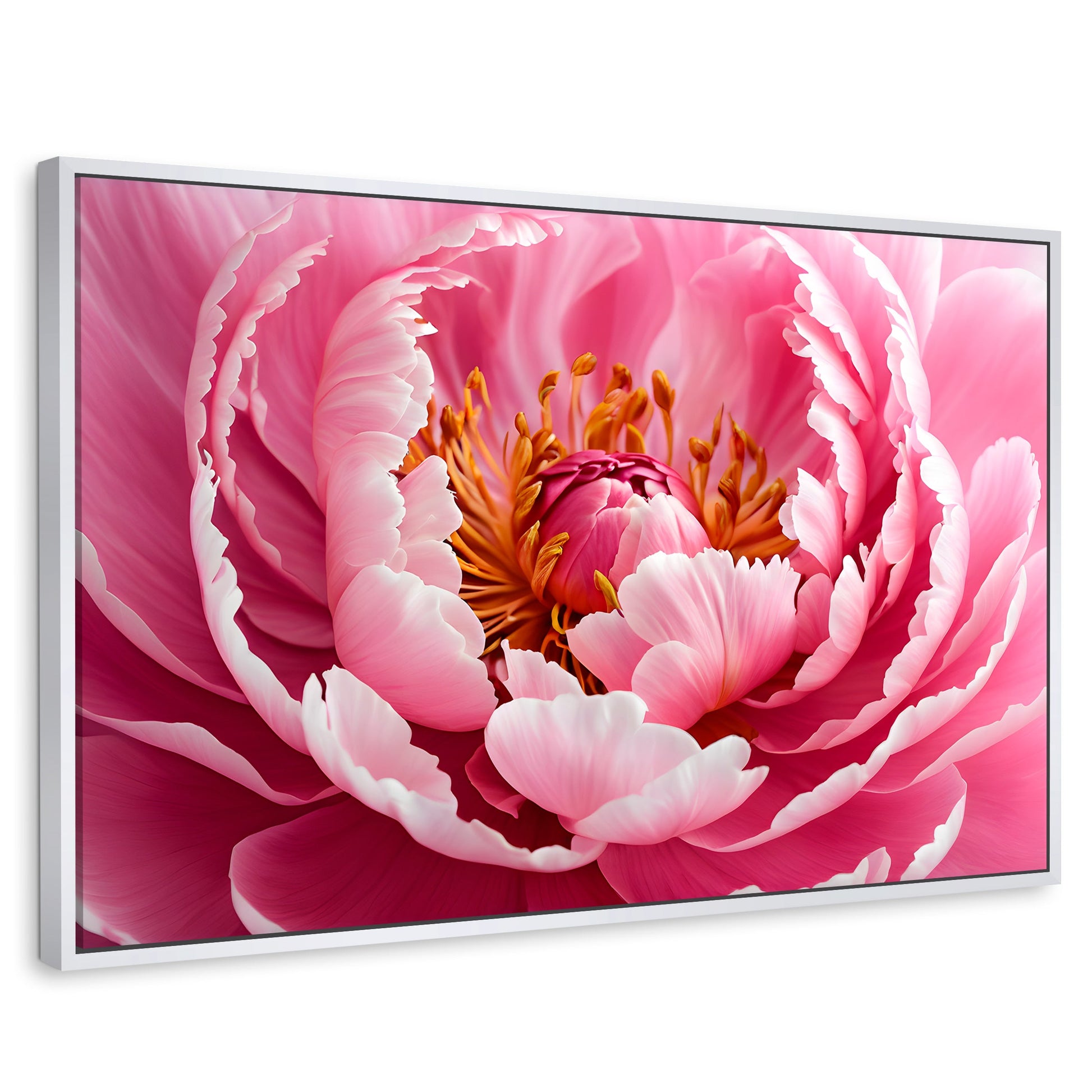 Cuadros Decorativos Canvas Revolution | Peonia Rosa Abierta | Rectangular | Portada | Marco Blanco