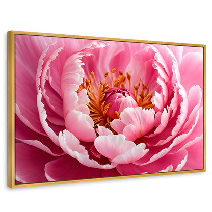 Cuadros Decorativos Canvas Revolution | Peonia Rosa Abierta | Rectangular | Portada | Marco Dorado