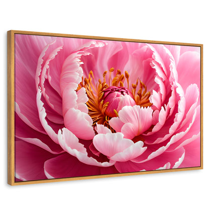 Cuadros Decorativos Canvas Revolution | Peonia Rosa Abierta | Rectangular | Portada | Marco Madera