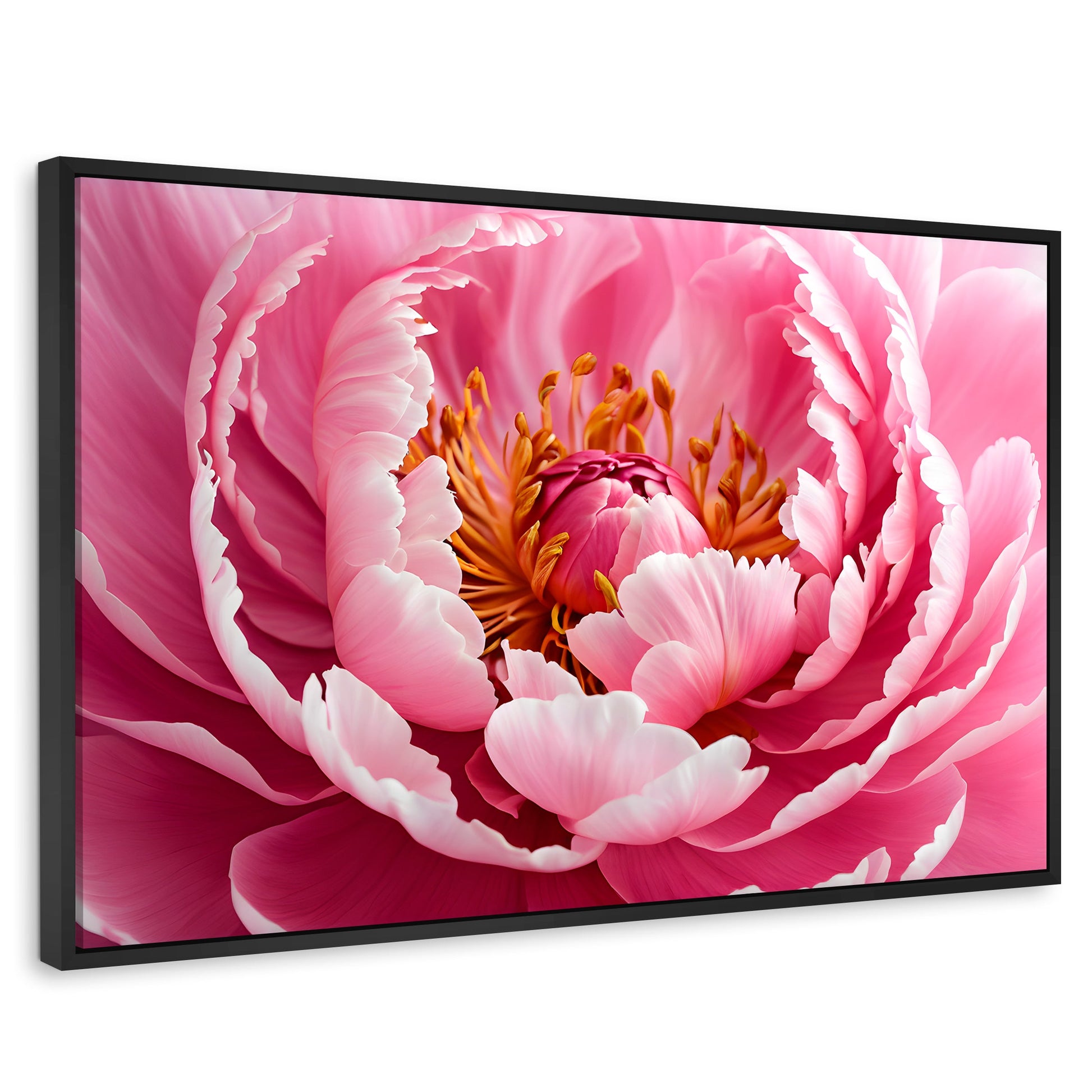 Cuadros Decorativos Canvas Revolution | Peonia Rosa Abierta | Rectangular | Portada | Marco Negro