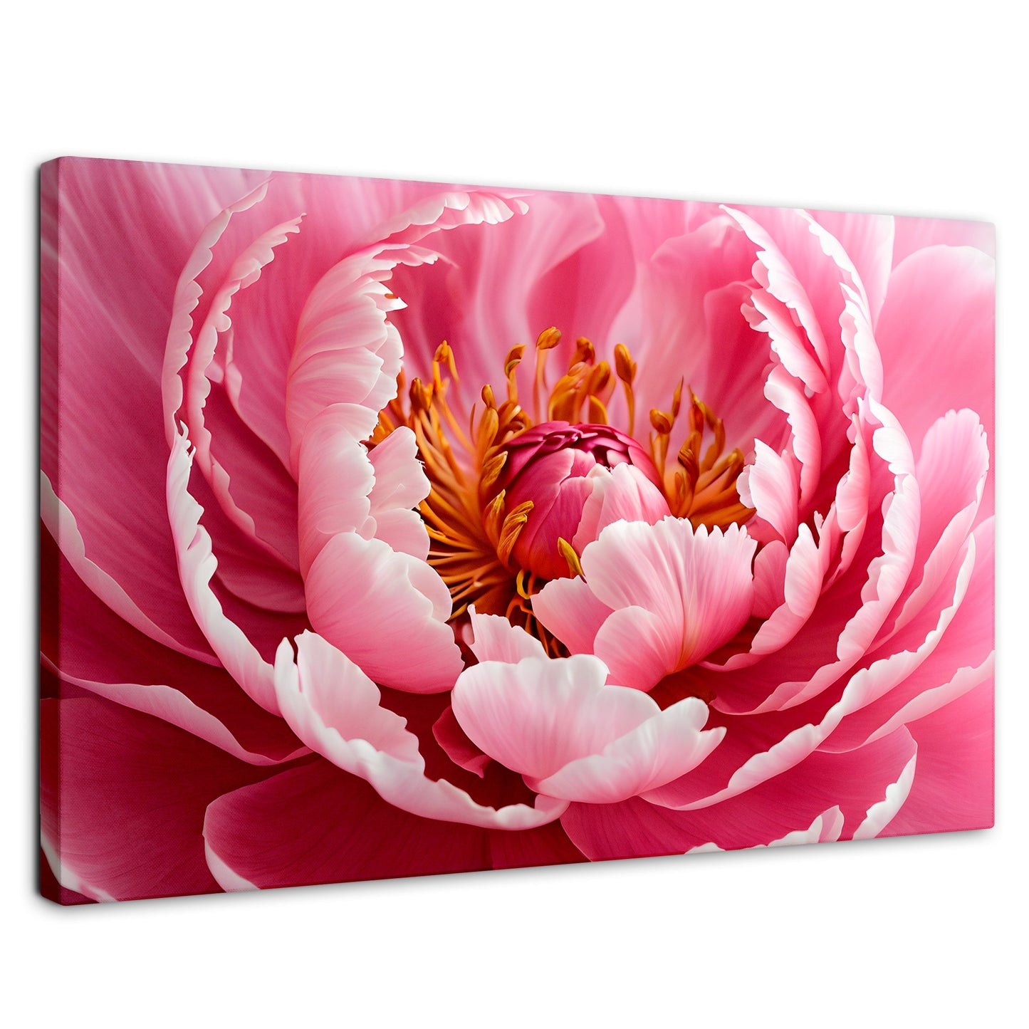 Cuadros Decorativos Canvas Revolution | Peonia Rosa Abierta | Rectangular | Portada | Marco SinMarco