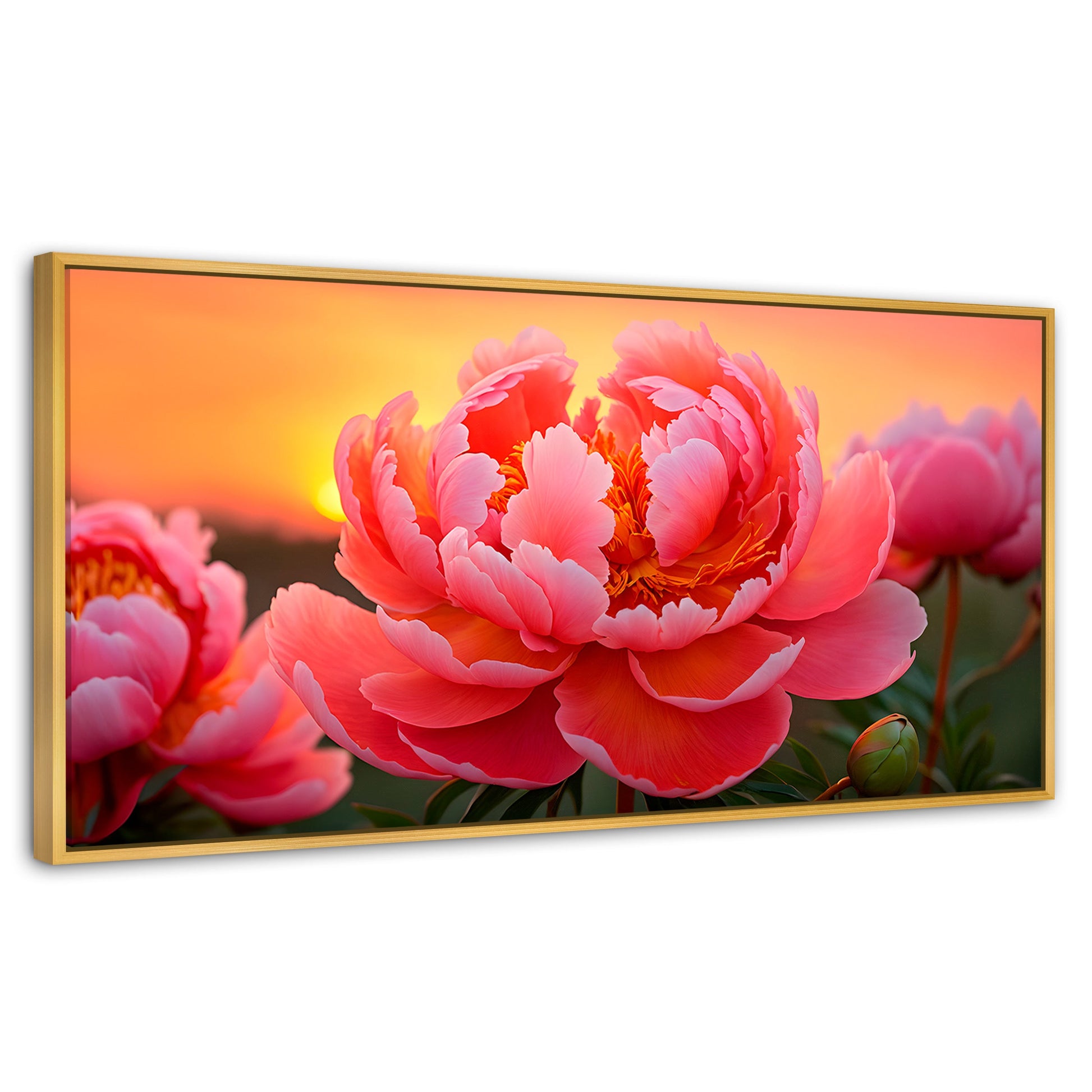 Cuadros Decorativos Canvas Revolution | Peonia Rosa Eterno | Panoramico | Portada | Marco Dorado