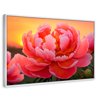 Cuadros Decorativos Canvas Revolution | Peonia Rosa Eterno | Rectangular | Portada | Marco Blanco